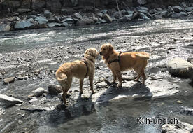 Kaya e Neo come giornalisti