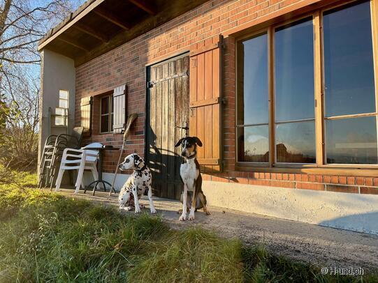 H-und.ch:Die Schweiz mit Hund erleben