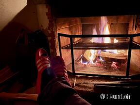 H-und.ch:Die Schweiz mit Hund erleben