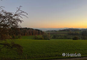 H-und.ch: Die Schweiz mit Hund erleben