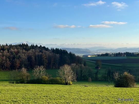 Willkommensüberraschung in der Reka Ferienwohnung Hasliberg von Vitakraft.