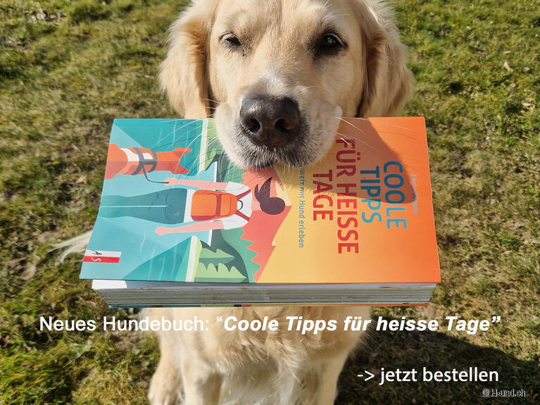 Klicke hier für weitere Infos