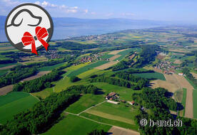 La nostra raccomandazione nelle vicinanze: Pensione La Molière