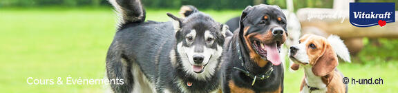 Veranstaltungskalender