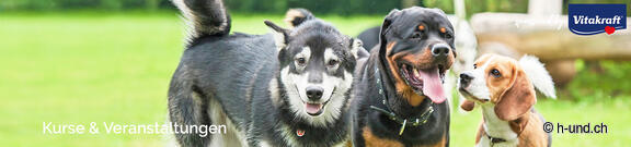 Veranstaltungskalender