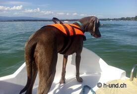 Anche Indira aveva già testato :-)