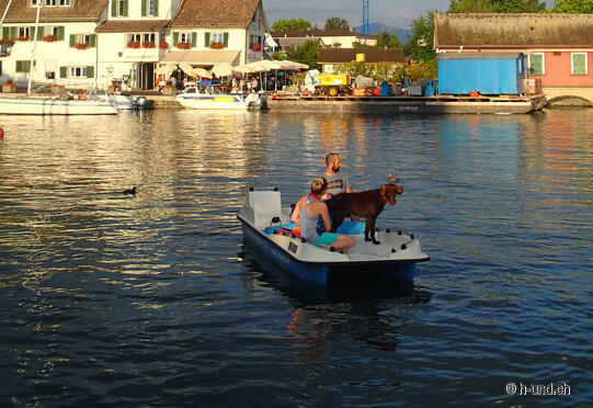 Pedaloverleih bei Ceccotorenas Stäfa