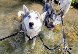 Great opportunities to cool off on the way.
