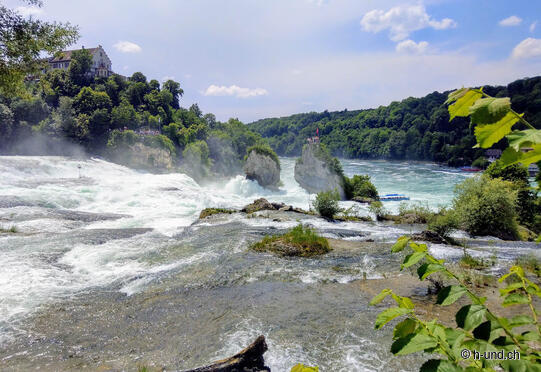 Rheinau-Schaffhausen