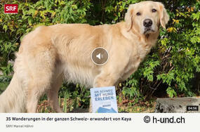 Schweiz mit Hund erleben