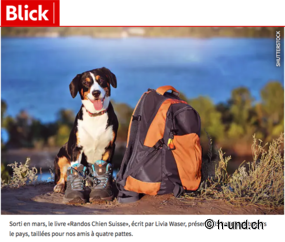 Randonnées à faire avec votre pote à quatre pattes