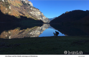 Randonnée avec un chien - il en faut peu pour être heureux