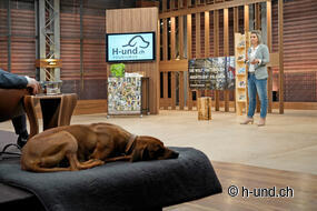 Grottes du Lion Suisse