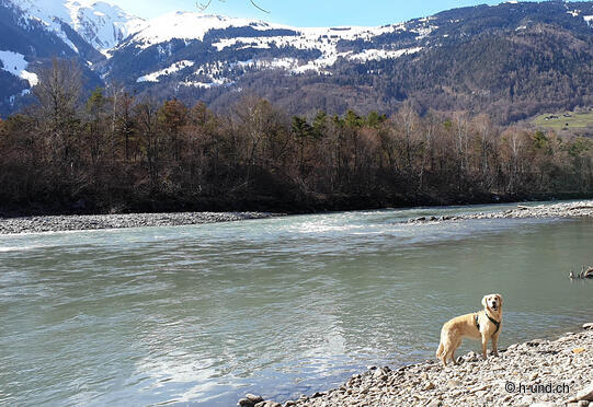 Zizers - Rhine - circular route