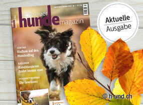 H-und.ch Fédération suisse du tourisme